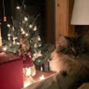 Meet your Posher, Linda